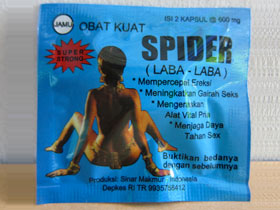 【商品写真】スパイダー madu lanang